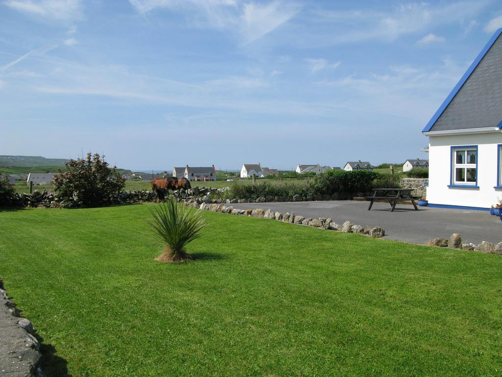 Nellie Dee'S Bed and Breakfast Doolin Eksteriør billede