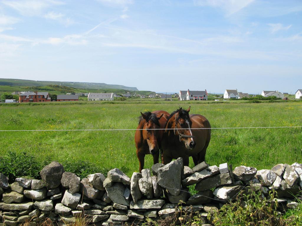 Nellie Dee'S Bed and Breakfast Doolin Eksteriør billede